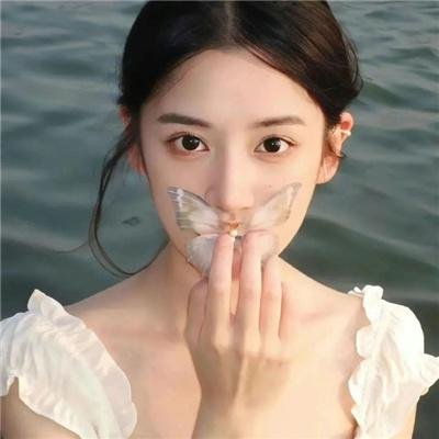 恋爱禁区