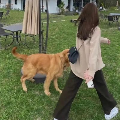 地狱迪斯科